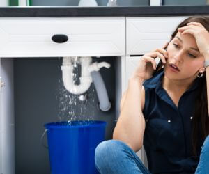 About Plumbers Pros Amidon, ND